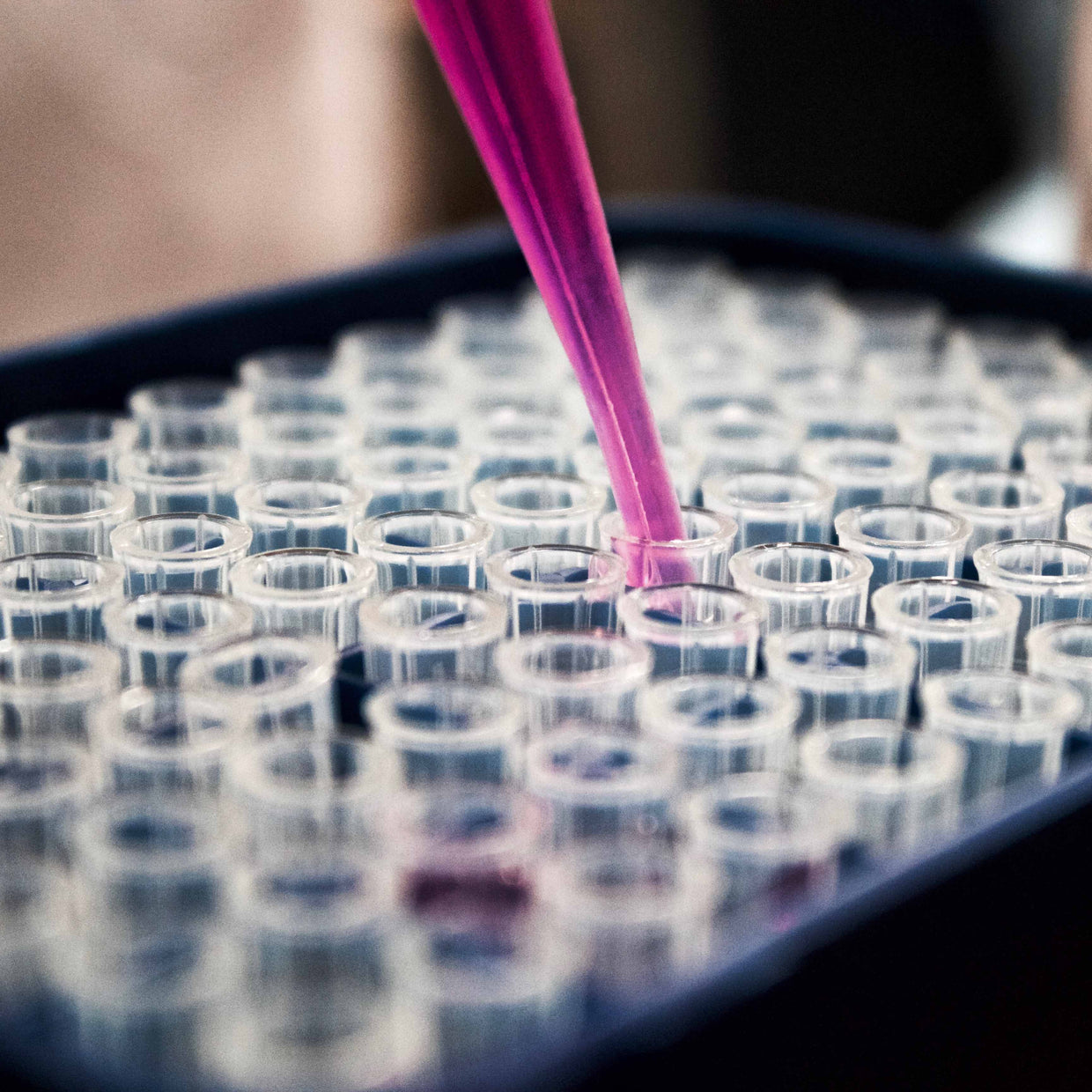 Same day STD testing in London | Sexual Health Clinic -STI Test London